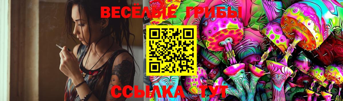 Галлюциногенные грибы GOLDEN TEACHER Ликино-Дулёво